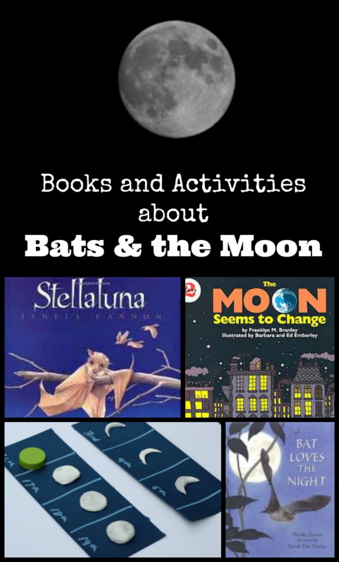 Kids books about bats and books about the moon for children