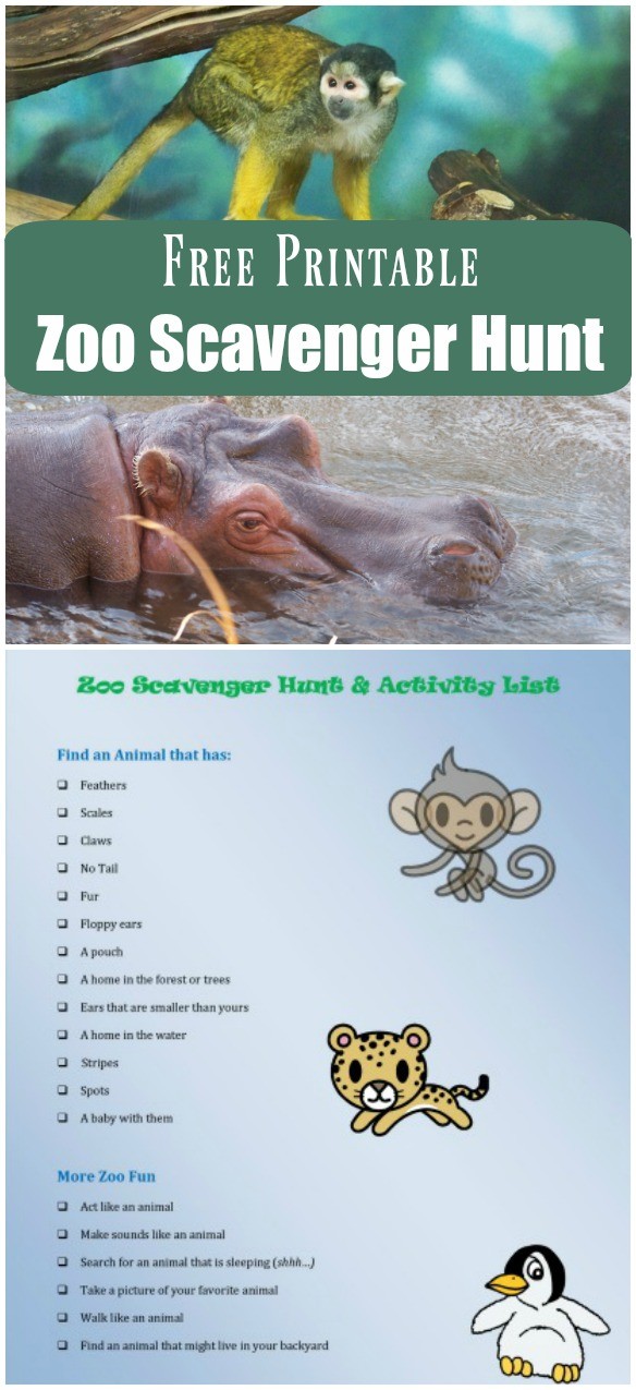 Zoo Scavenger Hunt for preschoolers and big kids with free printable checklist!