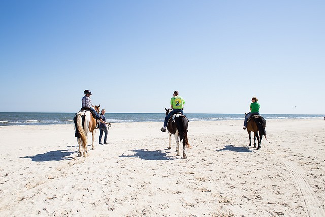 beach adventures with kids - horseback riding as a family
