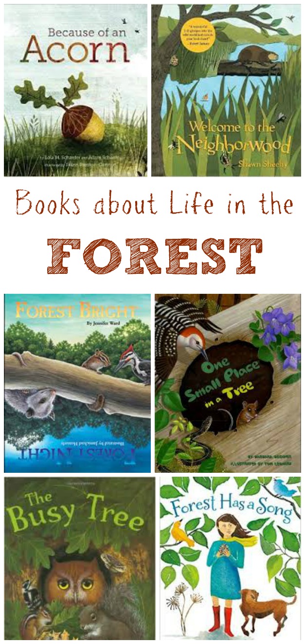 Children's books about the forest and forest animals