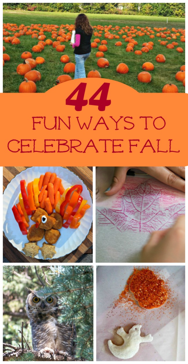 Favorite Fall Activities for kids and families - traditions to start as a family!