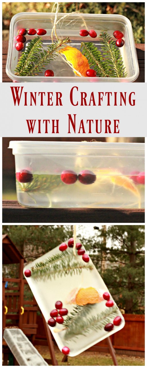 Easy winter craft  - create art from nature items!  Great science activity too.