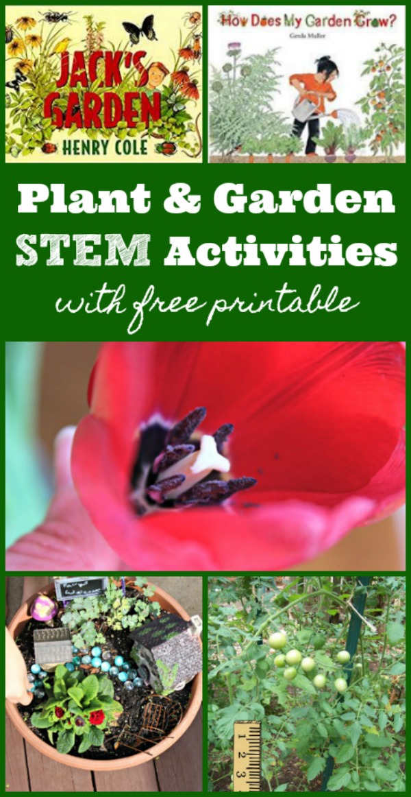 Plant activities for kids and garden science projects 