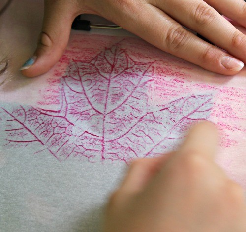 Leaf Rubbing Activity: Art &amp; Science Project