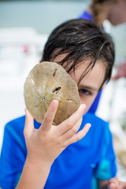 beach adventures with kids