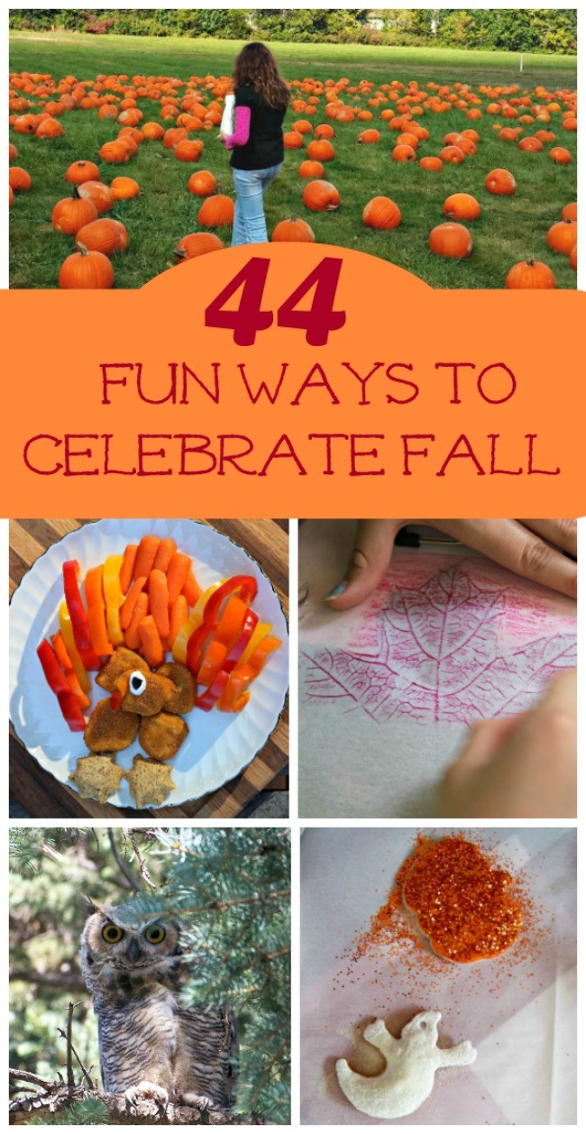 44 Fun Things to do this Fall | Activities for Families - Edventures