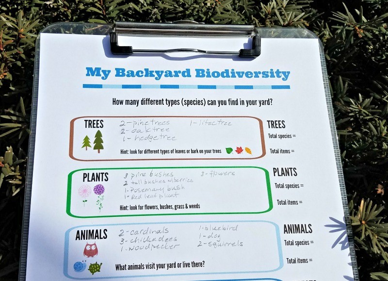 Outdoor Science: Biodiversity for Kids