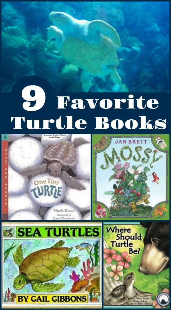 9 Children's Books about Turtles
