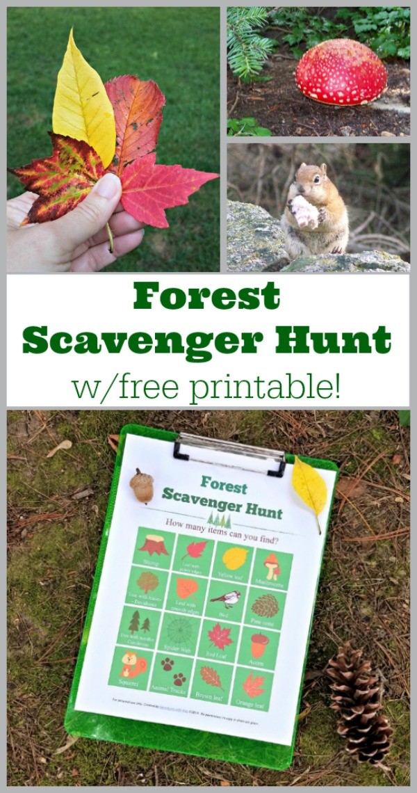 Free Printable Hiking Scavenger Hunt Edventures With Kids Free Printable Hiking Scavenger Hunt