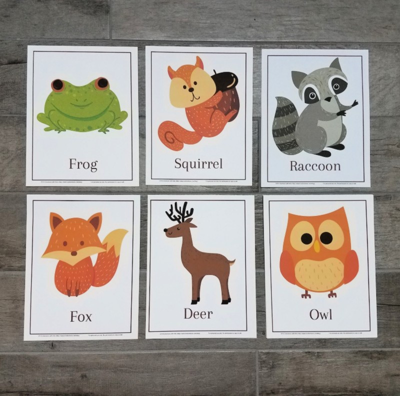 30 Printable Animals Picture Cards PNG