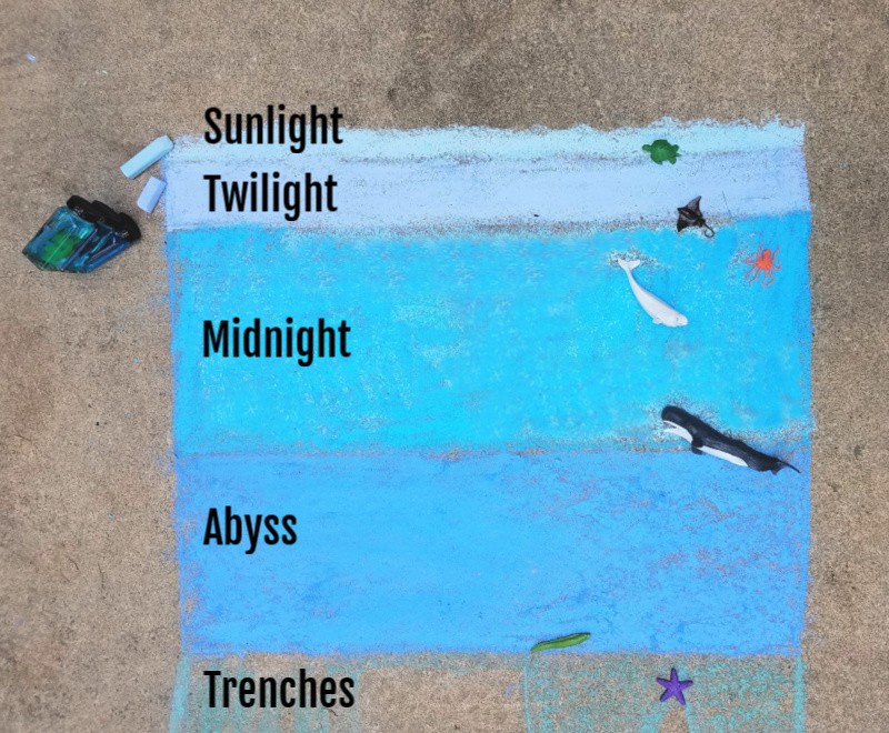 ocean-layers-stem-activity-for-kids-edventures-with-kids
