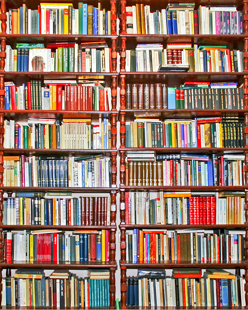 FREE Summer Reading Programs 2022 - Edventures with Kids