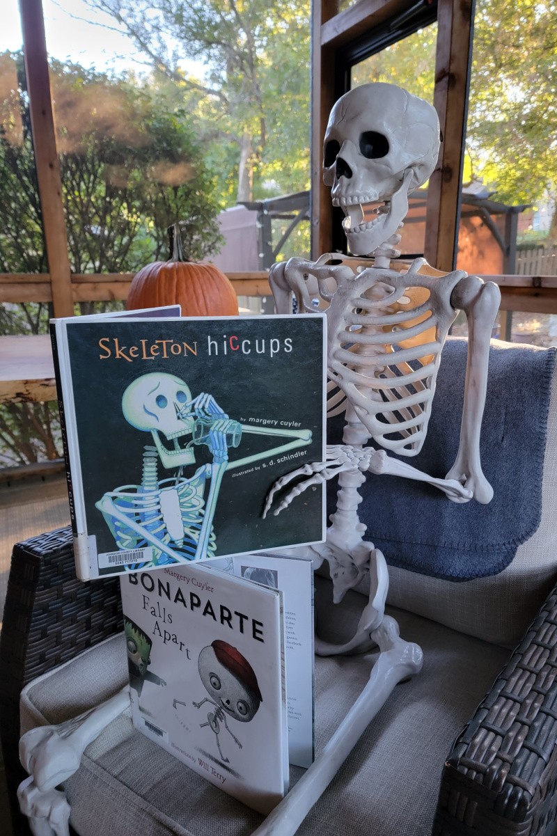 Biology project for kids - skeleton bones in body
