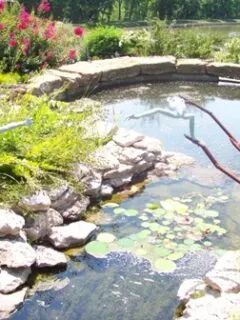arborteum-pond-small