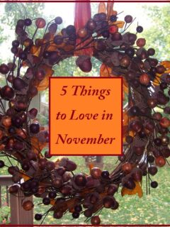 5-things-to-love-november