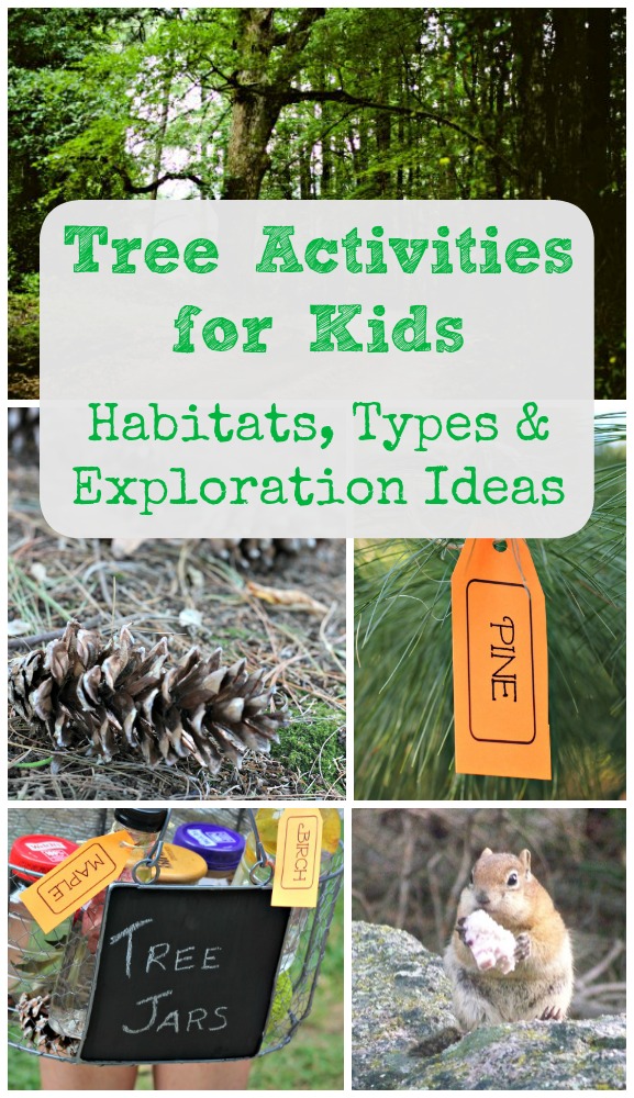 Tree Activities for Kids: Animal Habitats, Tree Types & Nature Facts