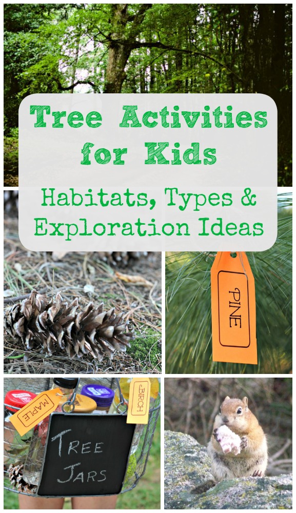 Tree Activities for Kids: Animal Habitats, Tree Types & Nature Facts Tree Activities for Kids: Animal Habitats, Tree Types & Nature Facts