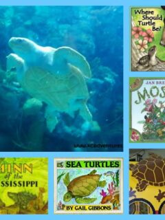 turtle-books