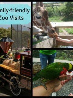 zoocollagewithsign