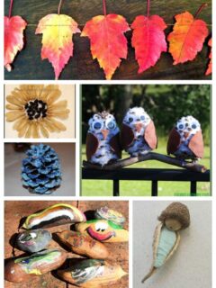 Crafts using Leaves and Seeds