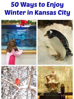 Things to do in Kansas City this Winter
