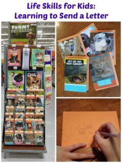 Learning to Send a Letter #FunnyPetCards #shop