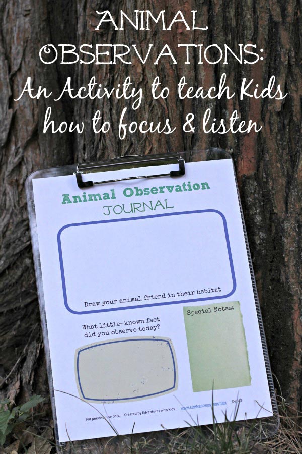 Animal Observation Activities: Tips for Teaching a Child to Focus & Listen - KC Edventures Animal Observation Activities: Tips for Teaching a Child to Focus & Listen - KC Edventures