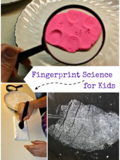 fingerprintsciencetitle.jpg