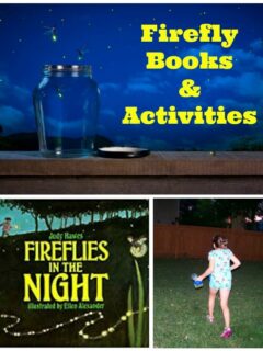 firefly-science-activities-facts-for-kids.jpg