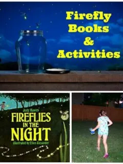 firefly-science-activities-facts-for-kids.jpg