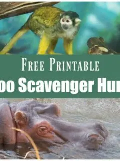 zoo-scavenger-hunt-free.jpg