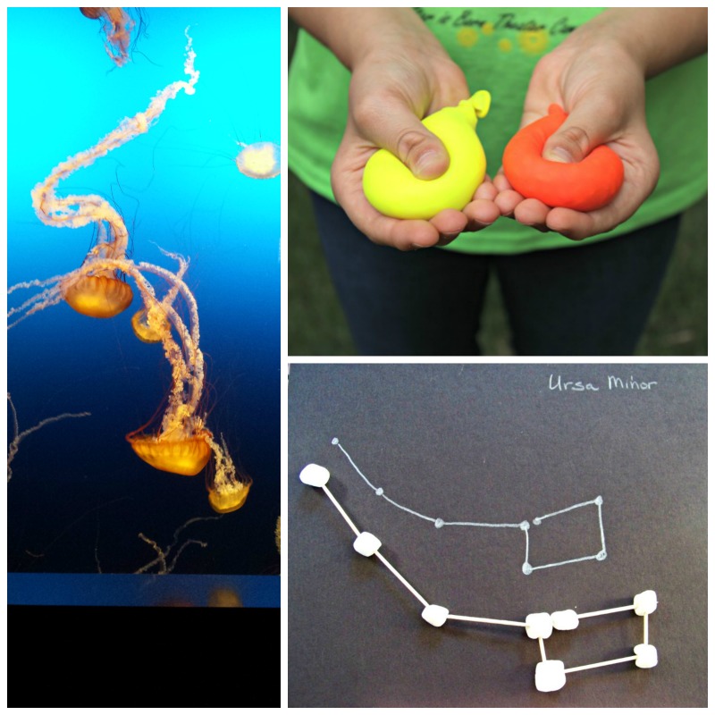 50 Fun Stay At Home Activities For Kids