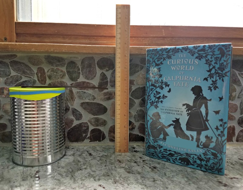 Science Project How to Make a Barometer for Kids