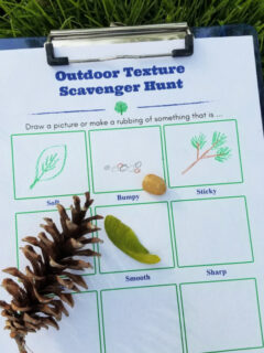 texture-sensory-scavenger-hunt.jpg