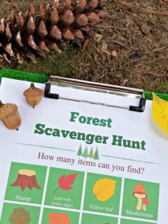 forest-scavenger-hunt-printable.jpg