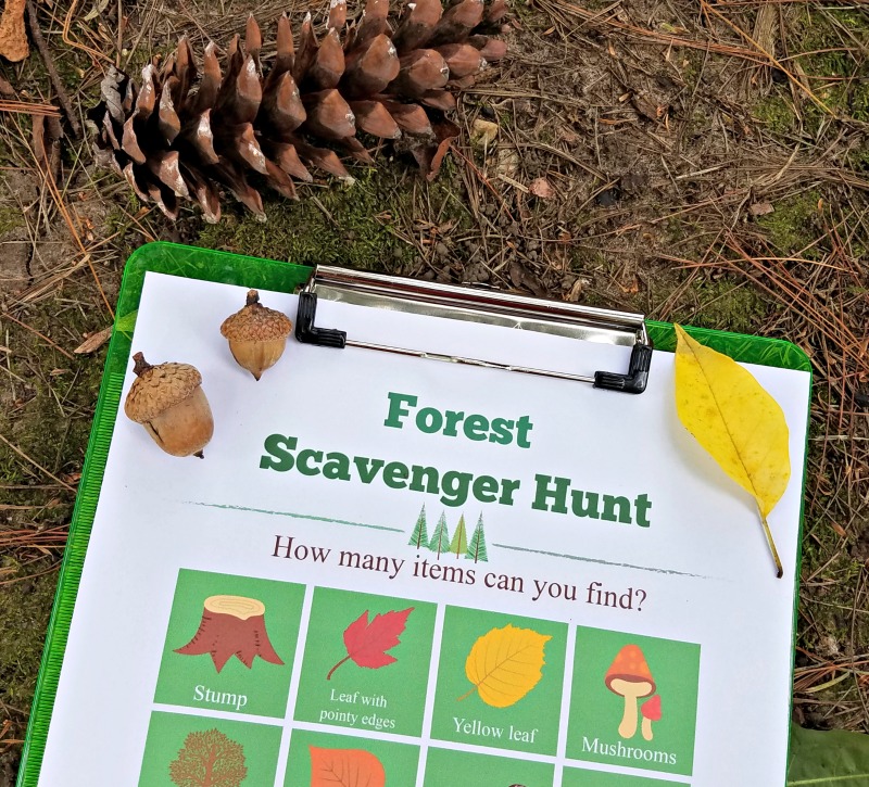 walk-in-the-woods-nature-hike-scavenger-hunt
