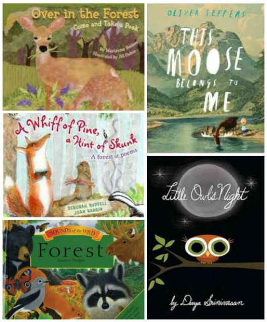 15 Children's Books about Forest Animals
