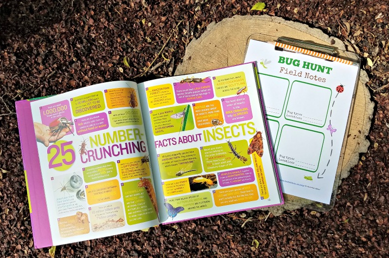 17 Fun Things to Do at the Park