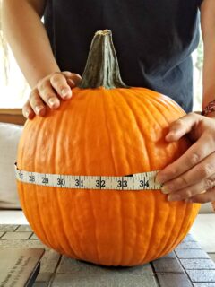 fall-STEM-activity-pumpkins.jpg