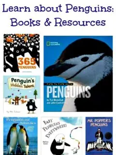 penguin books and activities