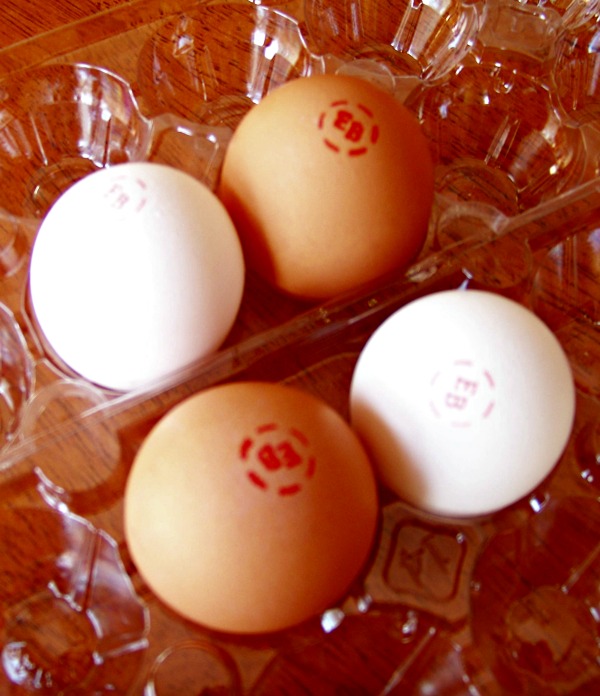 Can You Color Brown Eggs for Easter?
